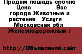 Продам лошадь срочно › Цена ­ 30 000 - Все города Животные и растения » Услуги   . Московская обл.,Железнодорожный г.